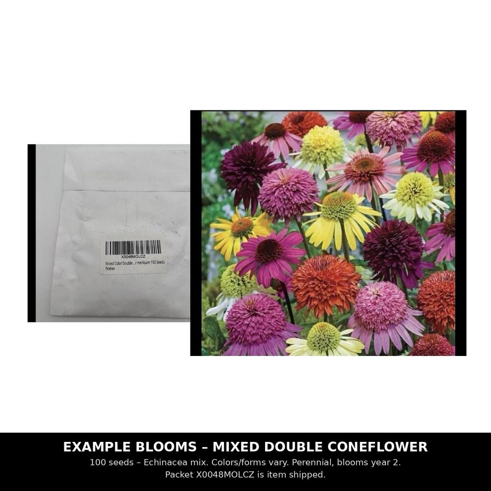 Mixed Color Double Flower Seeds 100 Pcs Heirloom Garden Planting New